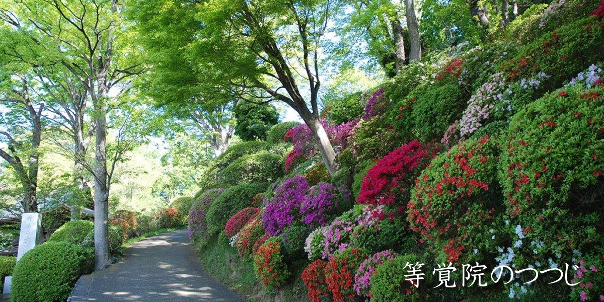 神木本町自治会メイン画像1