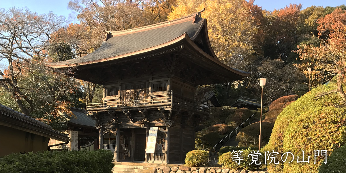 神木本町自治会メイン画像2