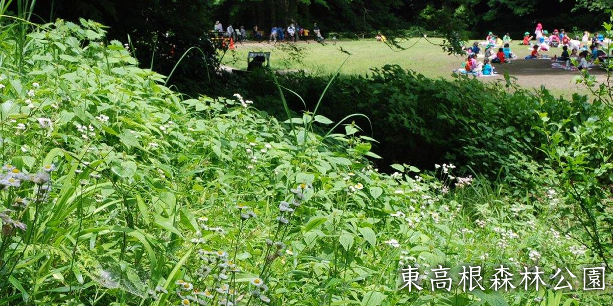 神木本町自治会メイン画像3