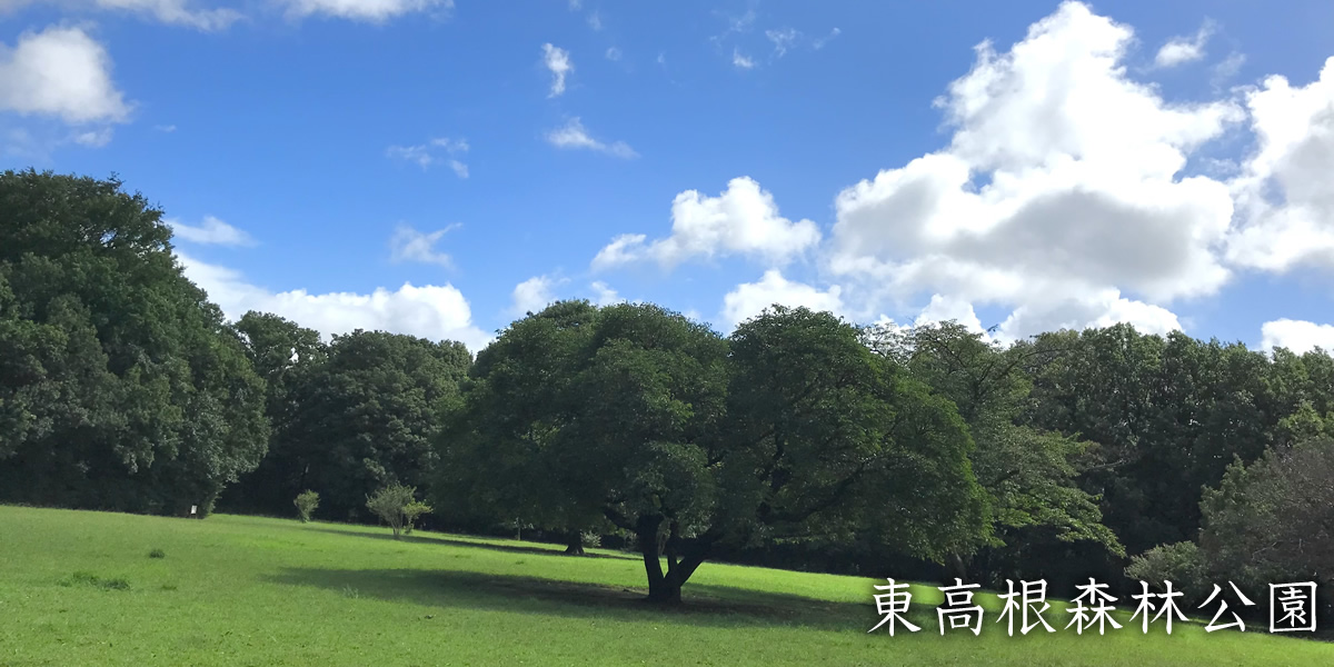 神木本町自治会メイン画像5